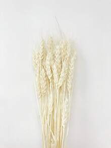 20-200支，17.3英寸绿色小麦，干花，干植物，用于餐桌花瓶插花、婚礼用花、新娘捧花、家居和办公室用花以及派对用花 - 白色 - 查看 4