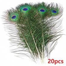 5-50 根散装孔雀羽毛，长度 16-18 英寸（40-45 厘米），适用于 DIY 手工艺品、花瓶、婚礼、家居派对、节日装饰 - 彩色 - 查看 10
