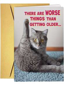 1pc,Funny Birthday Cat Photo Card For Women, Sister, Girls, Mom, Friends, Dad, Brother And All Cat Lovers - View 7