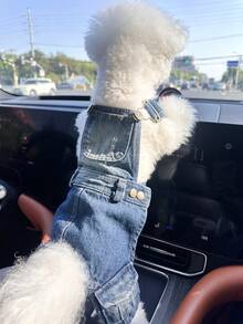 PETCIRCLE 1件宠物衣服，狗狗/猫咪套装，时尚可爱舒适的小型犬和幼犬背带裤 - 彩色 - 查看 4