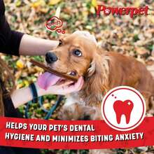 Powerpet 100% Natural Bully Stick - High Protein, Low Fat, Healthy Dog Treats, Long-Lasting Dog Chews, Easily Digestible, Cleans Teeth, Low Odor, for All Breeds &amp; Sizes, 6" - 10 Count - ColorA - Ver 6