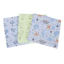 Kit com 3 Cueiro Manta Flanelado Estampado Bebê Minasrey - Azul - Visão 6