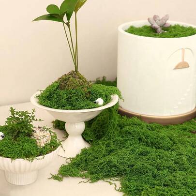300g/10.58oz 100g/40g Simulated Moss Lawn, Artificial Fake Moss Micro Landscape Layout, Green Plant Lawn, Potted Plant Window Decor Landscape Design