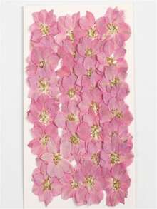 干花压制美甲化妆材料 - 蝴蝶花 - 天然植物压制标本胶水手工工艺材料 - 均碼 - 查看 3