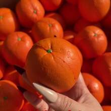 3个慢回弹软绵绵减压挤压玩具 - 逼真橙子水果玩具 - 情侣游戏 - 猫咪礼物 - 男女通用礼物 - 圣诞礼物 - 玩具 - 恶魔 - 互动 - 派对游戏 - 史迪奇玩具、旅行玩具、课堂减压玩具、迷你小玩意、洗澡玩具、圣诞文具、压力球、生日礼物、节日礼物、完美礼物 - 彩色 - 查看 2