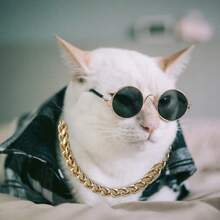 Metallic Link Chain Dog Necklace Personalized Punk Style Pet Collar Fashion Accessories For Small Dogs Cats NID0 - Gold - View 9