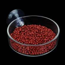 Mini Acrylic Shrimp Feeding Bowl, Aquarium, Reptile Feeding Bowl With Suction Cup - Clear - View 6