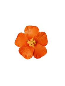 9 Pieces Of Hawaiian Flower Hairpins In Random Colors, Women's Artificial Flower Hairpins, Suitable For Holiday Beach Parties, Summer Tropical Floral Hair Accessories, Girls' Holiday Gifts, Flat Claw Clips, Hair Slides, Hair Claws, Head Accessories - View 10