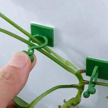 1件装绿色树木攀爬墙工具，绿色树藤固定夹，攀爬钩，绿色夹环，无痛绿色植物固定装置 - A - 查看 2