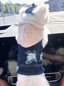 PETCIRCLE 2pcs Pet Clothes, Dog Cat Outfit, Small Dog Puppy Apparel, Cute & Stylish Outfit Set: Fleece Hoodie + White Fashion Glasses Hat - Multicolor - View 1