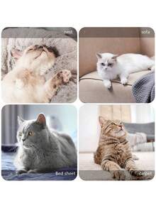 1pc Pet Hair Remover Roller Brush, Carpet Sofa Lint Cleaner, Dog Cat Hair Removal Tool - Handle - View 5