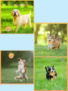 3-In-1 Plush Squeaky Ball Chew Toy, Interactive Voice Toy For Small/Medium Dogs, Dental Care & Intelligence Development Pet Toy, Bright Yellow Spring/Easter Gift - Multicolor - View 7