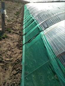 Multi-Purpose Protective Net For Orchards, Poultry Farming, Aquaculture, Fruit Trees, Greenhouses, Sky Net, Fishing Net, Garden And Farm Climbing Vine Net - 105cm*1000cm - View 6