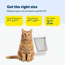 PetSafe Interior 2-Way Locking Cat Door - Allows Convenient Movement Between Rooms &amp; Minimizes Scratching - Tinted Durable Plastic Privacy Door for Feeder &amp; Litter Box - ColorA - Ver 5