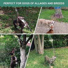 3件装宠物绳结玩具，狗狗磨牙清洁互动训练玩具，耐用耐咬，宠物用品 - 紅色 - 查看 4