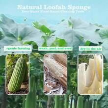 Estropajo de luffa natural - Estropajo de mano para platos de cocina, quita grasa, herramienta de limpieza sin plástico - Esponja de lufa (1 pieza) - Ver 5