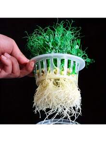 8pcs Planting Baskets, Hydroponic Vegetable Planting Baskets, Plastic Flower Pots, Suitable For Home Balcony Gardening And Nursery Hydroponics, Seedling Trays - A - View 4