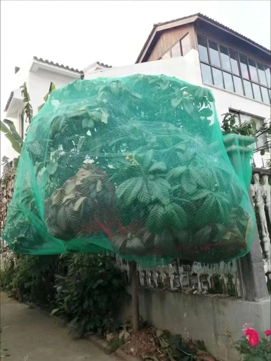 多用途防护网，适用于果园、家禽养殖、水产养殖、果树、温室、空中防护网、渔网、花园和农场棚架网 - 605cm*600cm - 查看 1