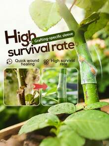 100个植物嫁接套管，果树硅胶嫁接管，3-7.5毫米柔性嫁接夹，果树，植物，断枝修复工具，花卉 - 嫁接套管 - 查看 3