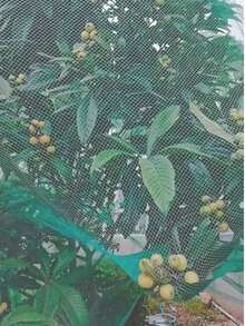 多用途防护网，适用于果园、家禽养殖、水产养殖、果树、温室、空中防护网、渔网、花园和农场棚架网 - 105cm*500cm - 查看 4