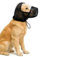 Bozal protector contra mosquitos y mordeduras para perros, suministros para mascotas - Multicolor - Ver 4