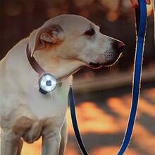 1pc LED Pet Glow Light, Dog Walking Lamp With 4 Brightness Settings, Safety Light And Easy-To-Replace Battery, Suitable For Nighttime Walks For All Pets - Multicolor - View 7