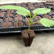 12pcs Suitable For 105/128 Hole Seedling Tray Substrate Blocks, Clone Transplant Plants & Flowers, Gardening Seedling, Hydroponics Supplies - A - View 7