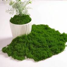 100克/200克/300克人造苔藓绳，适合春季室内植物使用。可作为春季室内植物的人造苔藓，呈现绿色。（婚礼用花、玫瑰、鲜花、人造花、人造植物、仿真花、仿真植物、母亲节礼物、母亲节） - 綠色 - 查看 4