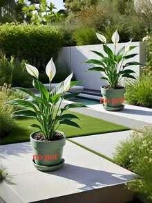 Bộ cây nhiệt đới nhân tạo: Được thiết kế với khả năng chống tia UV và chống thấm nước, phù hợp cho môi trường ngoài trời và ẩm ướt. Những cây và hoa xanh sống động như thật này được làm từ chất liệu PE/PVC chất lượng cao, mang đến vẻ đẹp rực rỡ cho đạo cụ chụp ảnh, trang trí nhà cửa, phông nền đám cưới hoặc không gian căn hộ. - Nhiều màu - Xem 6