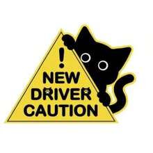 AD 1pc Black Cat Cute Small Black Cat Novice Driver Reminder Sticker, Please Wait Patiently Sign, Car Reflective Decal - A - View 14