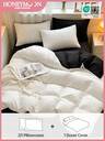 Bedding