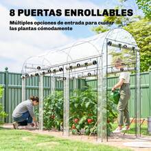 Agricultural Greenhouses - 透明的 - 查看 5