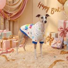 Pet Sweatshirts & Hoodies - White - View 6