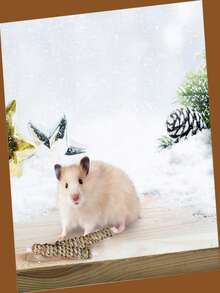 6件装水草和甜竹小型宠物磨牙玩具，适合兔子、仓鼠、松鼠等宠物。 - 查看 5