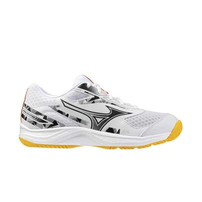 Mizuno Handballs
