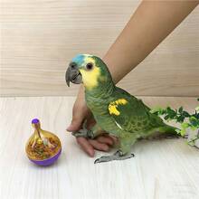 1个鹦鹉喂食器益智玩具，互动式鸟类喂食玩具，防溢食物分配器 - 鹦鹉觅食宠物玩具 - 查看 3