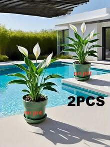 Bộ cây nhiệt đới nhân tạo: Được thiết kế với khả năng chống tia UV và chống thấm nước, phù hợp cho môi trường ngoài trời và ẩm ướt. Những cây và hoa xanh sống động như thật này được làm từ chất liệu PE/PVC chất lượng cao, mang đến vẻ đẹp rực rỡ cho đạo cụ chụp ảnh, trang trí nhà cửa, phông nền đám cưới hoặc không gian căn hộ. - Nhiều màu - Xem 13