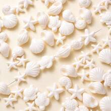 100pcs Ocean Theme Acrylic Beads, Summer Beach White Series Shell/Starfish/Turtle Shaped Beads, Suitable For DIY Clothing Decoration Accessories, Creative Handicrafts - White - View 1