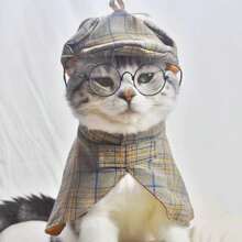 Pet Costume Set For Small To Medium Dogs & Cats - British Style With Hat - Multicolor - View 5