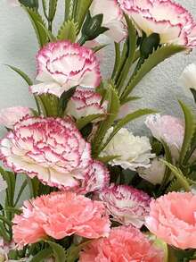 一束15朵仿真康乃馨，优雅长茎，栩栩如生，无需养护，适合母亲节、婚礼、生日、情人节等场合，经久耐用，可作桌面装饰，春夏两季适用于各种房间。可爱生动的仿真花，适合婚礼、客厅中心装饰。 - 彩色 - 查看 11