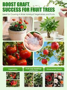 100个植物嫁接套管，果树硅胶嫁接管，3-7.5毫米柔性嫁接夹，果树，植物，断枝修复工具，花卉 - 嫁接套管 - 查看 9