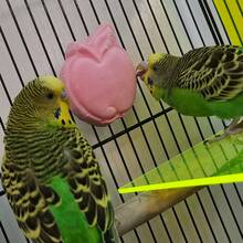 复活节鸟玩具，跨境热销矿物鹦鹉磨牙玩具，苹果形小型宠物指甲磨刀器及磨牙玩具 - 查看 8