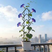 4件套现代几何造型花架 | 时尚几何植物支架 | 室内/室外攀援植物花架雕塑 - 美观的雕塑结构，适用于马来西亚铁木、常春藤或玫瑰，增添现代装饰效果 - 幾何菱形 - 查看 7