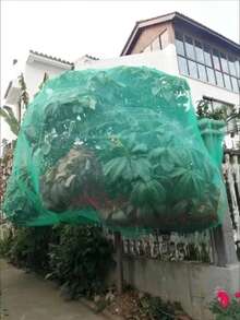 多用途防护网，适用于果园、家禽养殖场、水产养殖场、果树、温室、空中防护网、渔网、花园和农场攀爬网 - 305cm*300cm - 查看 1
