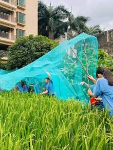 多用途防护网，适用于果园、家禽养殖、水产养殖、果树、温室、空中防护网、渔网、花园和农场棚架网 - 105cm*500cm - 查看 5
