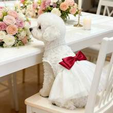 Red Bow & 3D Rose Embroidery Mesh Tutu Dress, Matching Pet Apparel For Small/Medium Dogs - Red - View 1