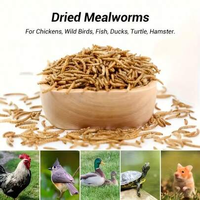 Dried Mealworms Larvae For Chickens High Protein Pet Food Dried Meal Worms For Wild Birds Hens Ducks Turtles Fish Lizards Hamsters Dried Insect Animal Feed