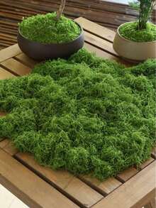 100克/200克/300克人造苔藓绳，适合春季室内植物使用。可作为春季室内植物的人造苔藓，呈现绿色。（婚礼用花、玫瑰、鲜花、人造花、人造植物、仿真花、仿真植物、母亲节礼物、母亲节） - 綠色 - 查看 1