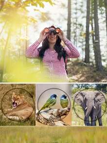 High Definition Binocular Telescope, High Magnification Long Distance Telescope, Great For Camping, Hiking, Wonderful Christmas/Valentine's Day/Back To School Gift, Suitable For Travel, Camping, Sightseeing, Animal Watching - Multicolor - View 2