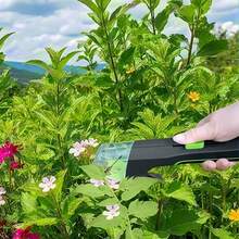 2 件套昆虫捕捉器，用于观察和捕捉黄蜂、甲虫、蝴蝶和蜘蛛（绿色） - 2件裝 - 查看 5